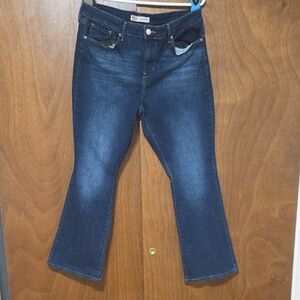 Blue Flare Wide Leg Jeans